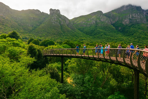 Explore Kirstenbosch National Botanical Garden