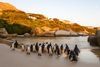 Cape Peninsula Day Tour
