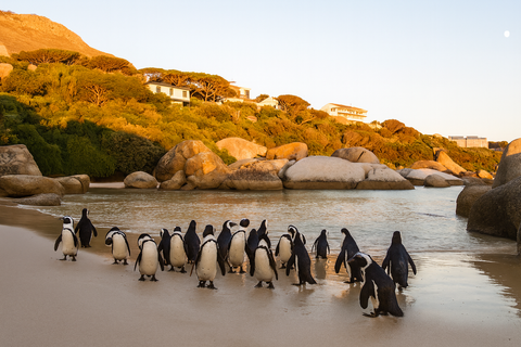 The Big 6 Experience – Luxury All-Inclusive Tour (4 Days)