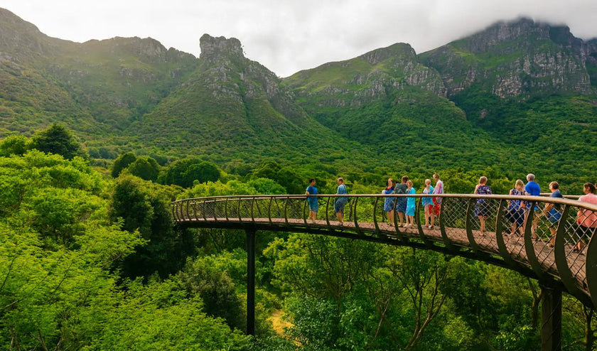People walking in kirstenboch national park