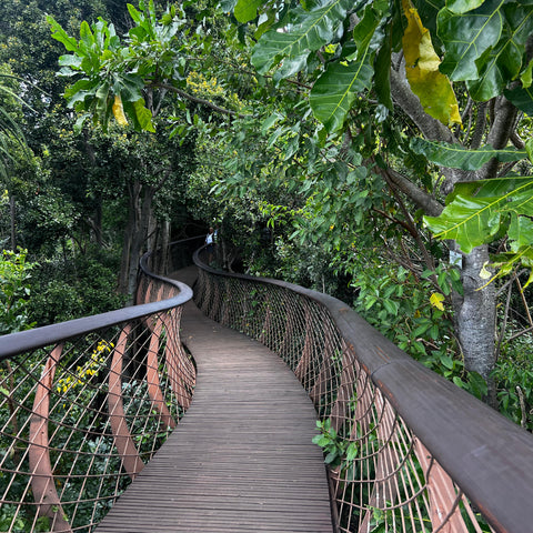 The Big 6 Experience – Luxury All-Inclusive Tour (4 Days)